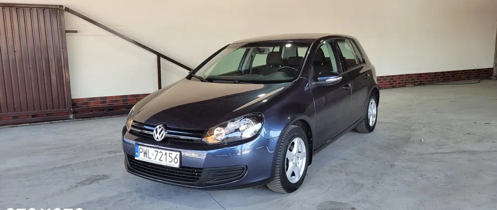 Volkswagen Golf cena 27900 przebieg: 228000, rok produkcji 2010 z Krosno Odrzańskie małe 232